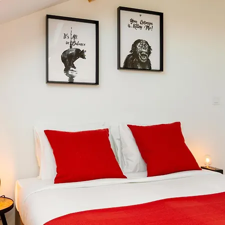 Arroios Concept Apartments By Homing-3